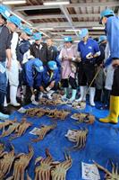 兵庫沖のズワイガニ漁解禁 初値は過去最高15万1710円