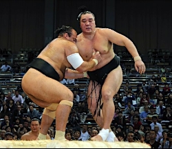 日馬富士と2大関敗れる 嘉風は連日殊勲星