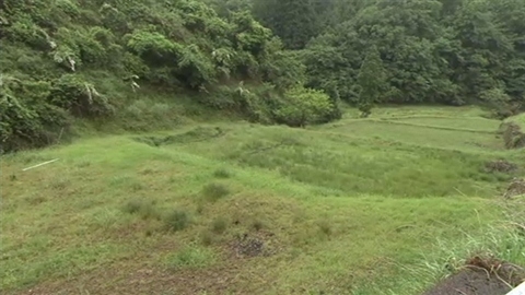 耕作放棄地の税１．８倍 政府検討 所有者の反発も