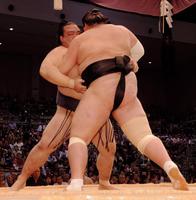 白鵬、無傷の１１連勝＝大相撲九州場所１１日目