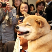 オリエンタルランドが反発、「沖縄ディズニーリゾート」が浮上