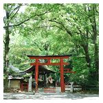 民主、共生社会実現へ素案 「１億総活躍」に対抗