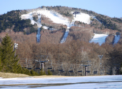 世界の気温、２年連続で最高更新 日本は過去４番目