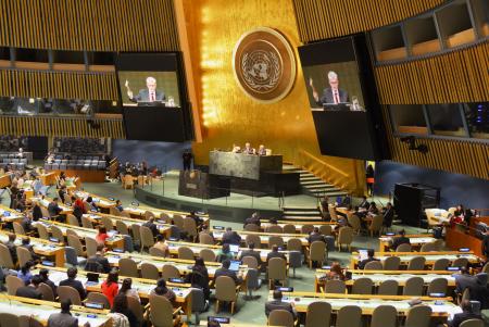 国連、「世界津波の日」を制定