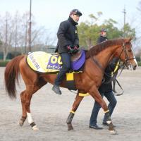 ゴールドシップは８枠１５番＝有馬記念の枠順決定－競馬