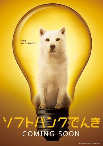 電力販売に参入、名称はソフトバンクでんき