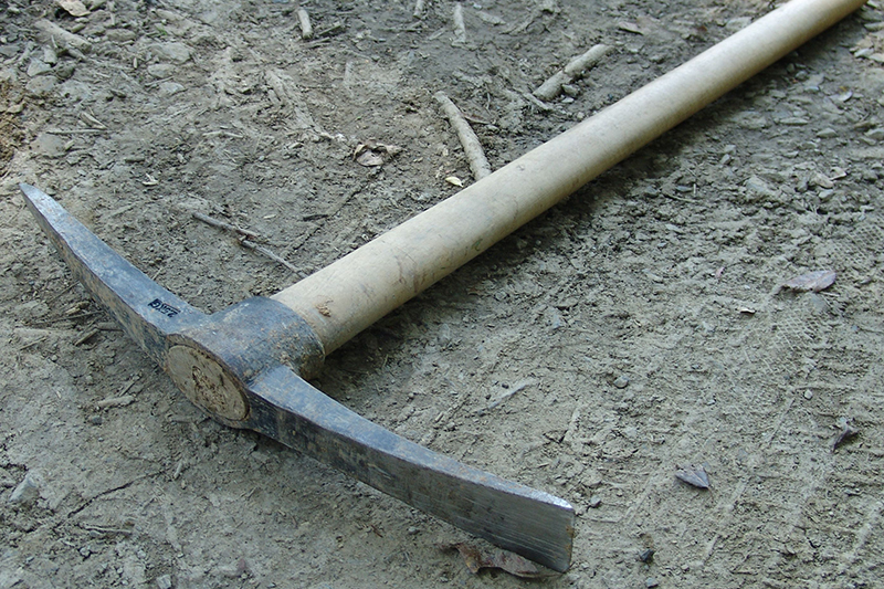 自称高2男子「祖父母殺した」出頭 殺人容疑で逮捕方針