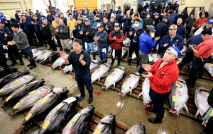 大間のマグロ、昨年の3倍値=築地市場最後の初競り