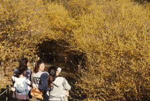 強姦罪で逆転無罪、高裁宮崎支部