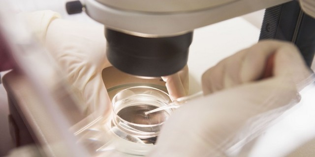 「これはスゴイ!」男性が“無精子症”でも妊娠可能と発表され、喜びが広がる