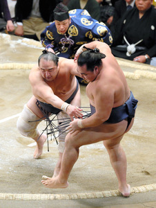 幕内最年長３７歳・安美錦が金星！ 鶴竜を破り７年ぶり８個目／初場所