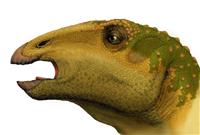 １・２億年前の新種イグアノドン類化石、タイで発見 福井県立大調査、全長６メートルか