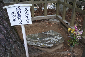 続・大河ドラマ「真田丸」の舞台～武田氏を翻弄した３つの城