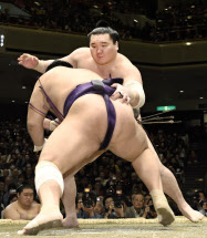 白鵬と琴奨菊が全勝、日馬富士１敗守る 大相撲初場所９日目