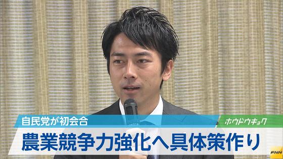 農業版「骨太」、議論開始＝農林中金も—自民