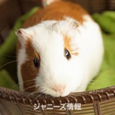 長年続けるには課題つきもの…首相もＳＭＡＰに言及