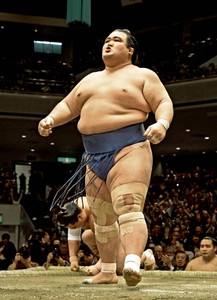 琴奨菊、横綱3連破 12連勝「日に日に冷静に」