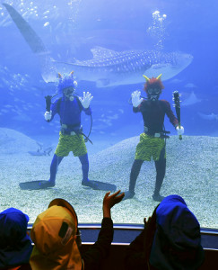 海遊館に「オニさんダイバー」登場、水槽内掃除