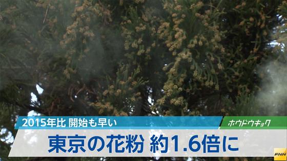東京の花粉、今年は多め…多摩部は昨年の２倍