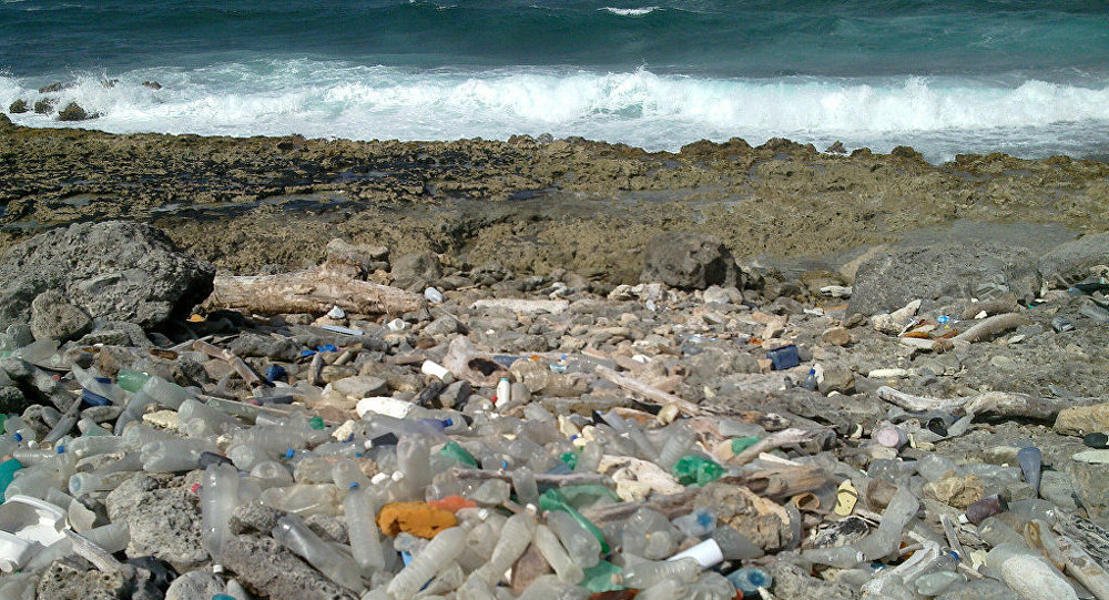 2050年にかけ海ではプラスチックが魚より多くなる