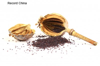 【海外発！Breaking News】「アヘン原料」混入料理店、中国で次々と摘発