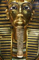 ツタンカーメンのひげを清掃中にポキリ 接着剤でお手軽修理した博物館職員ら８人を「職務怠慢」で起訴