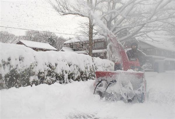 こんなに寒いのに…春の訪れ早まる見通し 2~4月予報 エルニーニョ現象の影響