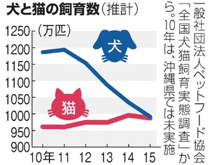 猫の飼育数、犬にほぼ並んだニャー 世話の負担少ない？