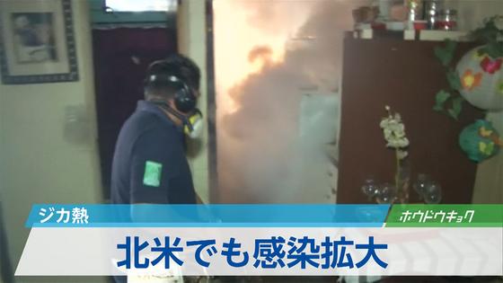WHO警告、ジカ熱、1年で300万~400万人感染の恐れ