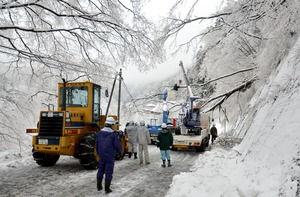 倒木で温泉客ら１２０人孤立