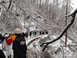 長野の孤立、一時320人に 松本では道に倒木150本
