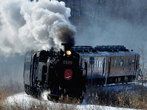 白い煙噴き上げ、雪原を疾走 釧路湿原でSL運行始まる