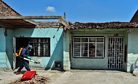 ジカ熱確認 妊婦2100人に感染