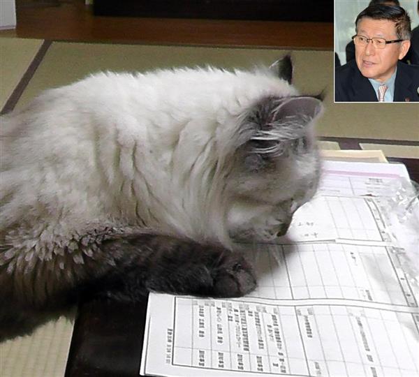 【ＺＯＯＭ東北】 秋田 動物殺処分ゼロ目指す 背景に「猫知事」の情熱