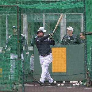 阪神・ゴメス、減量成功で快音連発 金本監督「飛ばしすぎには注意」