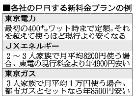 電気を使う家ほど割安 新料金プラン出そろう