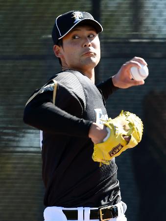 日本ハム、新人上原がブルペンで53球 先発入りへ厳しい競争