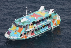 ＜高速船＞「クジラと衝突、漂流中」 大島沖１３キロ