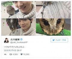 古川雄輝、フクロウカフェでの笑顔に癒やされるファン続出！「可愛すぎ」「ニット男子最強」