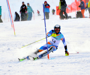 男子回転は中平が初優勝