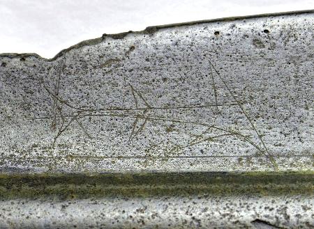 サメの絵 信仰の対象か 「古事記」にも 鳥取