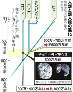 人類の祖先誕生、通説より１００万年以上古い？