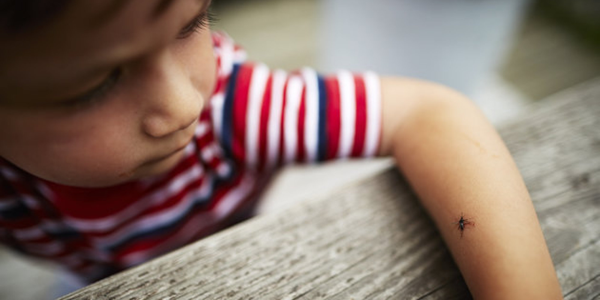 ジカ熱「リオ五輪での拡大」を恐れる米国の不安