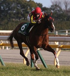 【クイーンＣ】（東京）～メジャーエンブレムが横綱相撲で完勝 [News]