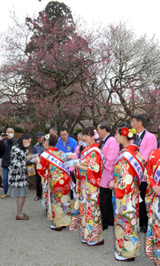 水戸の梅まつり開幕 偕楽園は早咲き１２００本見ごろ