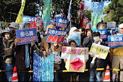 「美しい海、埋め立てないで」