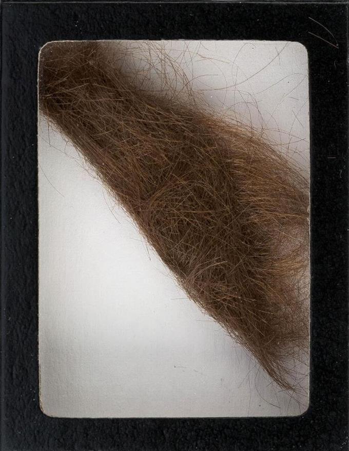 ジョン・レノンさんの髪３９４万円に！英国拠点の収集家が落札