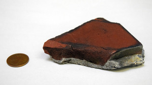 容疑者はカラスか れんが片が頭に落下、女性負傷 札幌