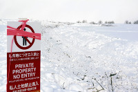 美瑛「哲学の木」苦渋の伐採 2016年02月26日