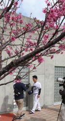 ライアン小川VS石川 ヤク真中監督 開幕投手は巨人2連戦で決定